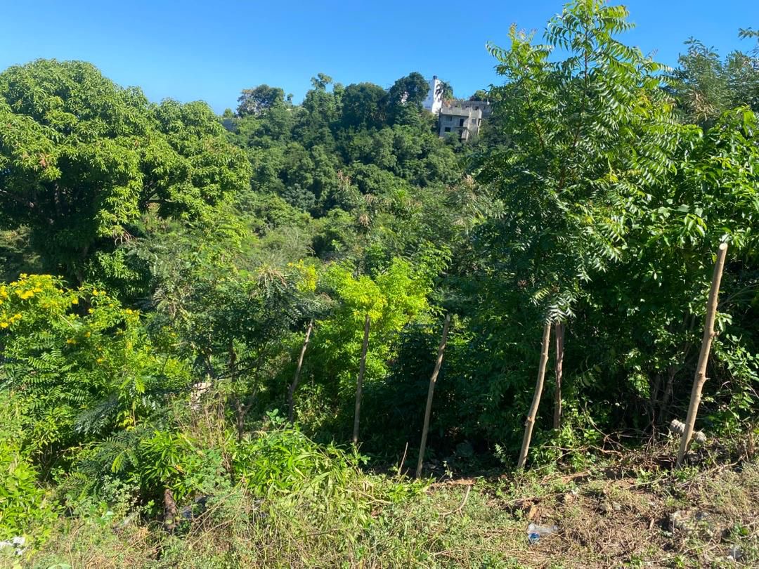 Yon notè devan kabinè d’instriksyon apre akizasyon vann byen moun